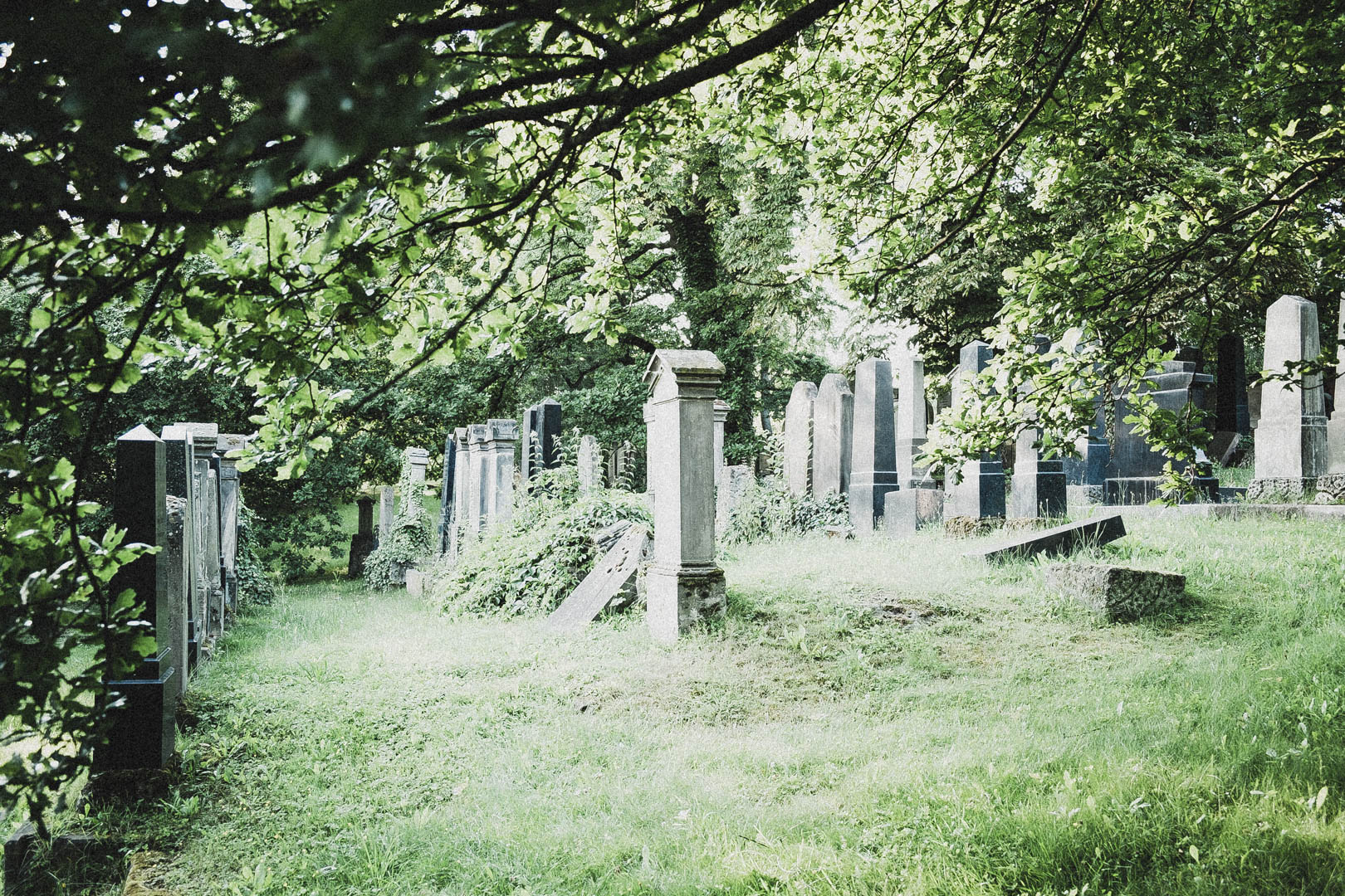 Jüdischer Friedhof Kassel-Bettenhausen